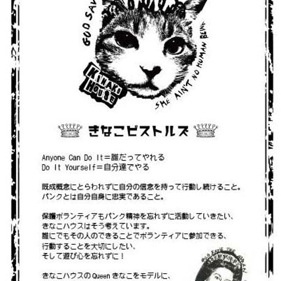 62887d08c5f876276ad53646