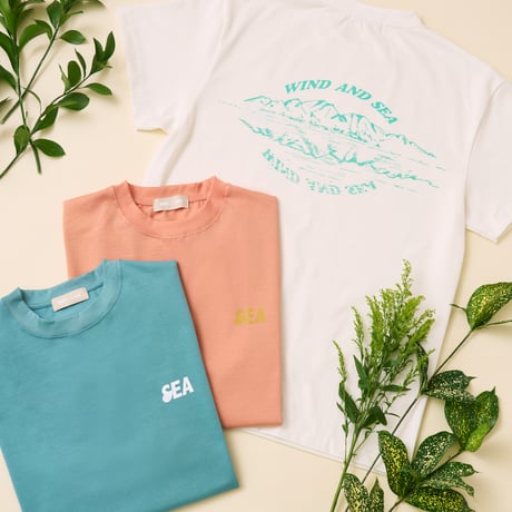 【WIND AND SEA×GREENable】　オーガニックコットンTシャツ　SHORT SLEEVE TEE