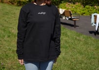 👕在庫限りの限定価格🎨 🏔 A pleasant dawn Long sleeve shirt (Black)☀️