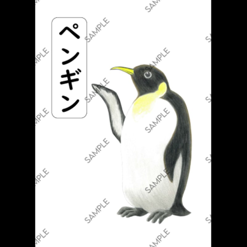 カタカナことばカード | カタカナカード