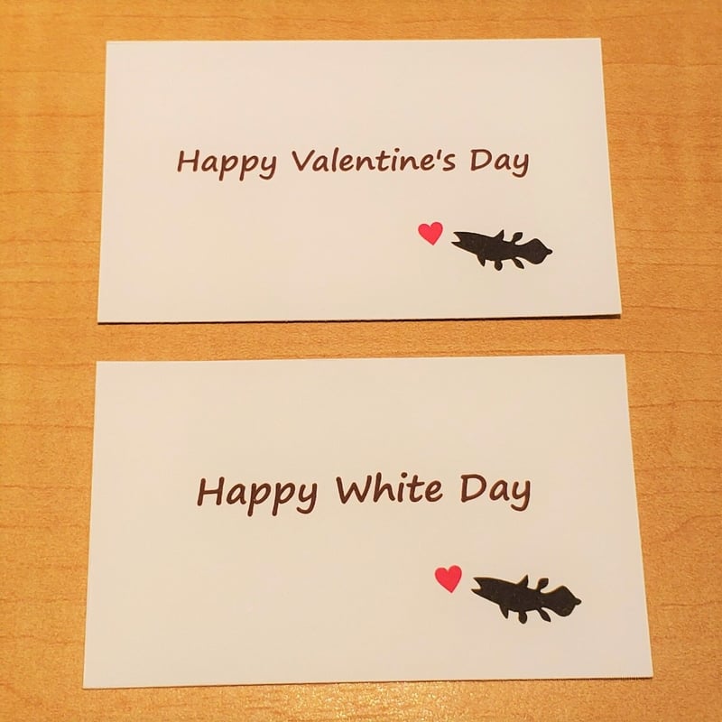 メッセージカード（25種類） | しーらかんすCafe