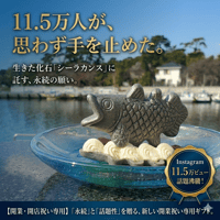 開業祝い・開店祝いに｜意味で選ばれる縁起物スイーツ「深海もなポーネ」8個セット【11.5万人注目】風呂敷包み