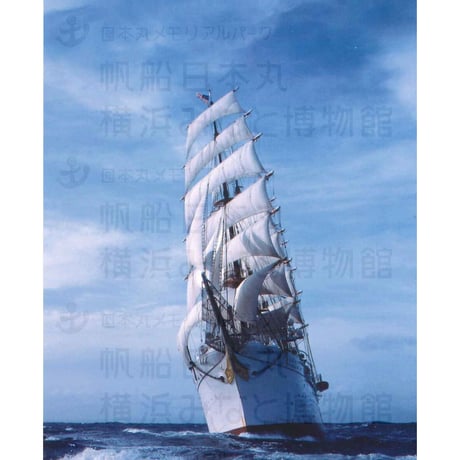 ポストカード「ダイナミックに帆走する日本丸」
