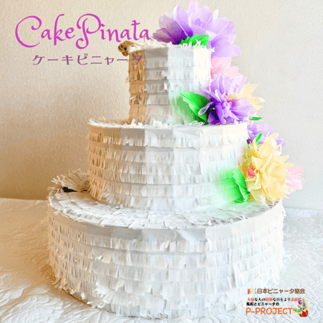 Cake Pinata（ケーキピニャータ）サンプル品