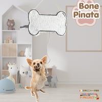 Born Pinata【ボーンピニャータ】サンプル品