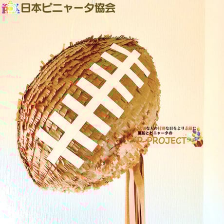 ラグビーボール | STORES