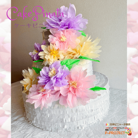 Cake Pinata（ケーキピニャータ）サンプル品