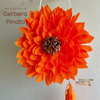Gerbera Pinata(ガーベラピニャータ）サンプル品