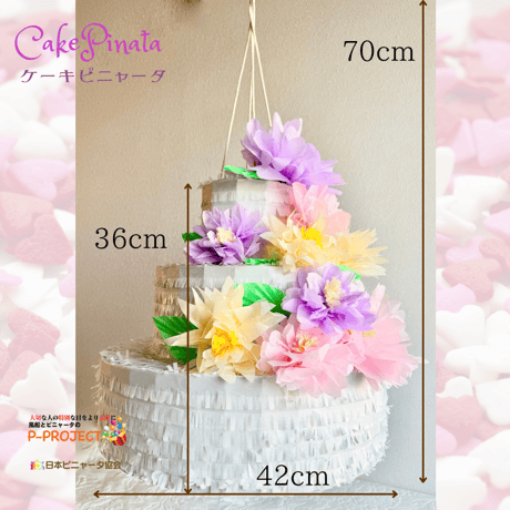 Cake Pinata（ケーキピニャータ）サンプル品