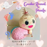 性別お披露目ピニャータ【Gender Reveal Pinata】