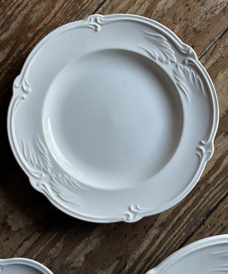 CATEGORY GIEN ジアン | M'amour マムール