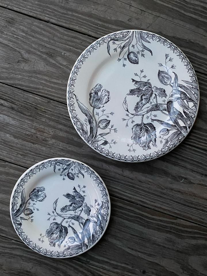 ジアン ドミノテ カナッペプレート 2枚 ジアンチューリップノワール・カナッペプレート | M'amour マムール