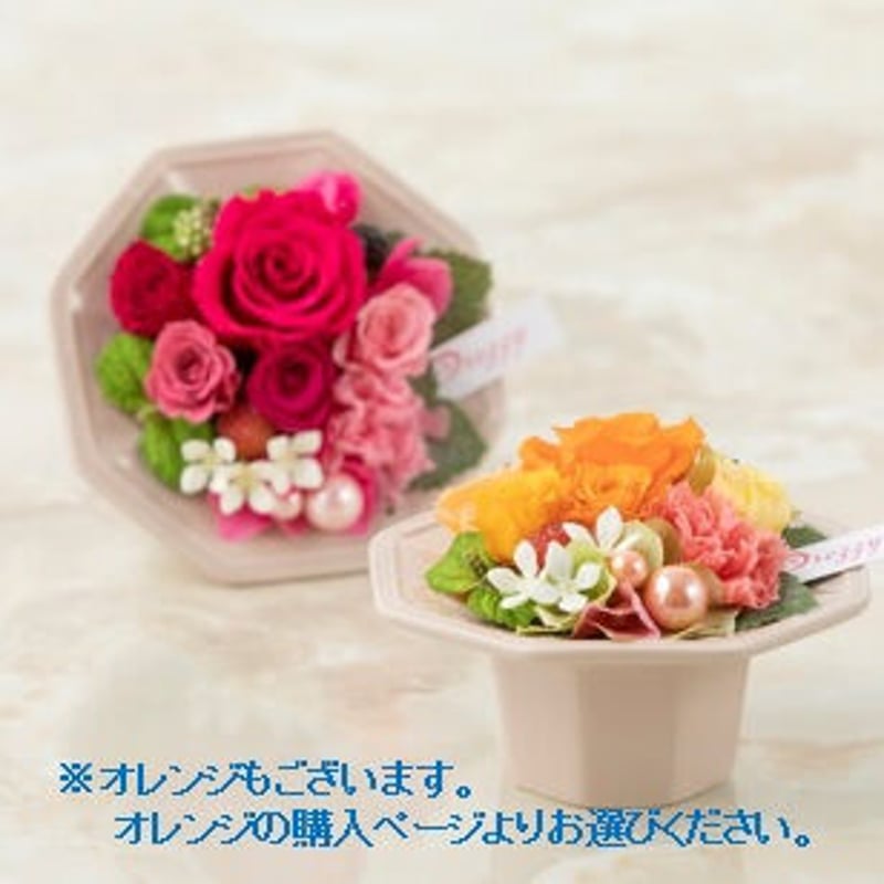 ゼフィール ピンク | HCH Flowers ゼフィール ピンク | HCH Flowers