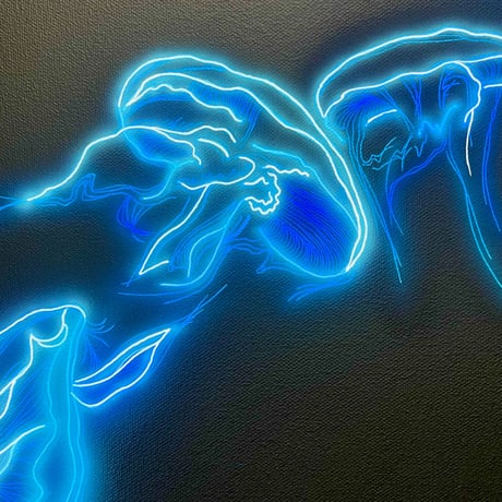 JELLYFISH