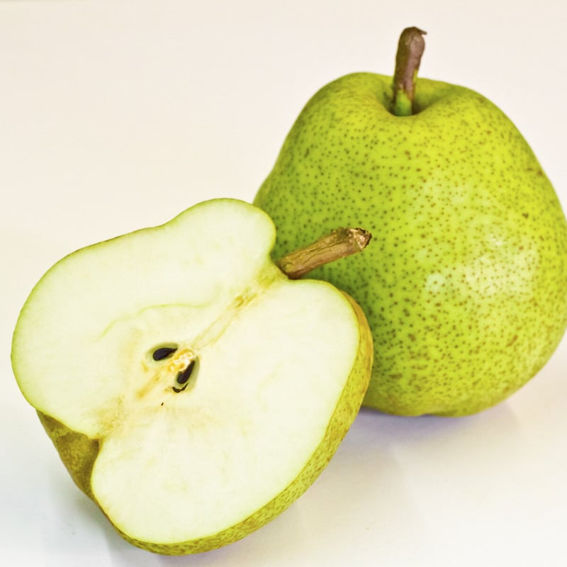 FRUiTS 2010年1月〜11月のセット おまかせ旬ぶどうセット」 — Shine Muscat & Seasonal Grapes