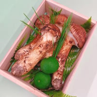 2026年販売中【秋の味覚の王様】「山形産　まつたけ」L・2Lサイズ（約300ｇ～350g　4～5本入）≪送料無料≫