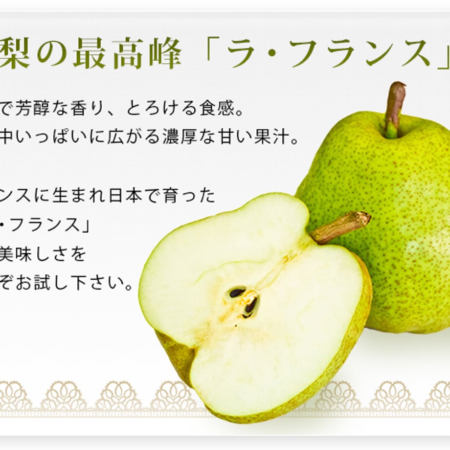 6556c25e82a509117893d20e