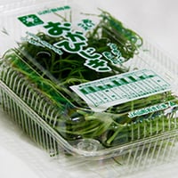 2026年販売中【3月上旬より順次発送予定】おかひじき　3P入り1ケース　≪送料無料≫