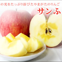 2025年販売中【11月下旬より順次発送開始予定】樹で熟した完熟「特選サンふじ」（3個入り）≪送料無料≫