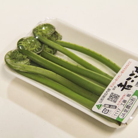 2026年販売中【4月中旬より順次発送予定】【山形旬の山菜】青こごみ【天然】1kg≪送料無料≫