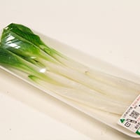 2026年販売中【1月上旬より順次発送予定】【山形旬の山菜】うるい　3把入り1ケース　≪送料無料≫