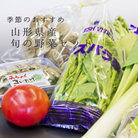 2026年販売中【山形産月替わり野菜詰め合わせ8点セット (2～3人分)】≪送料無料≫