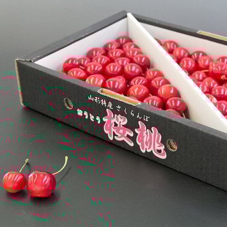 さくらんぼ s0344-c1.jpg