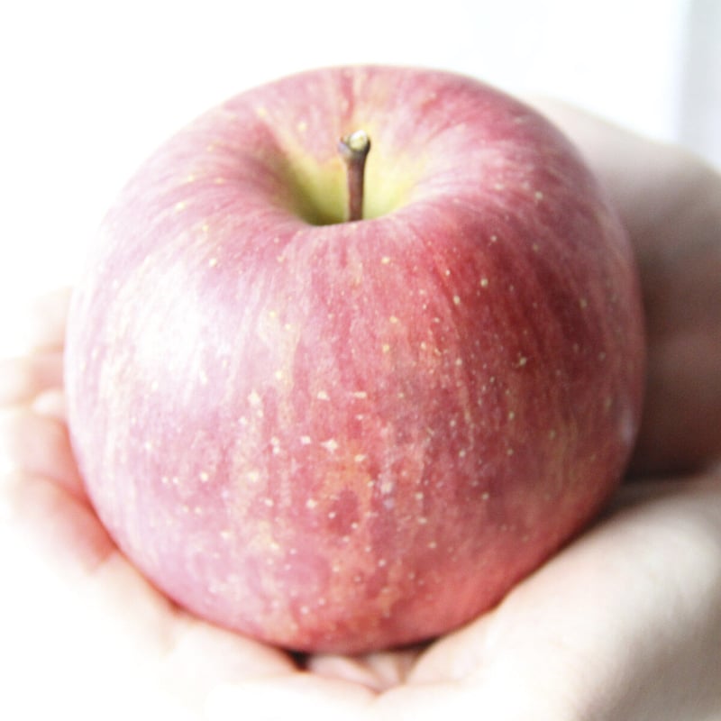 FRUiTS 2010年1月〜11月のセット 2025年販売中☆季節のおまかせフルーツギフトセット◇Mセット