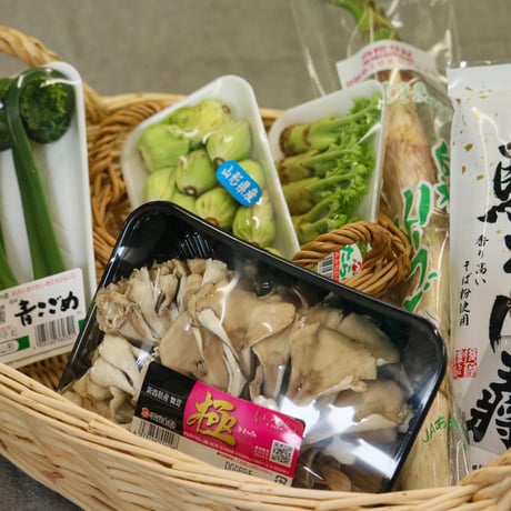 2023年販売開始【山形旬の山菜】山菜天ぷらセット※今ならオマケ付き※≪送料無料≫