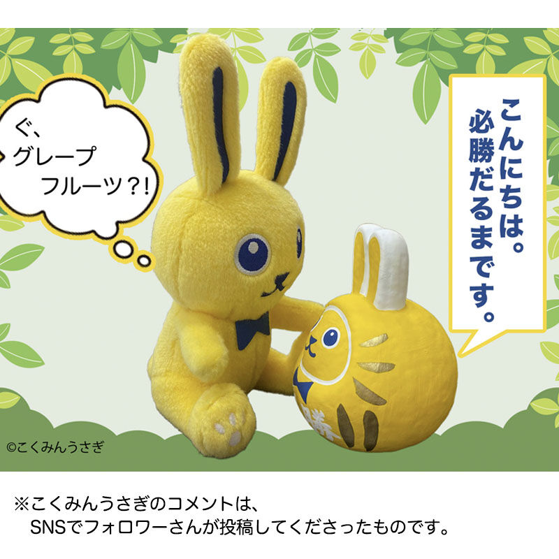 必勝だるま | Go!Go!こくみんストア