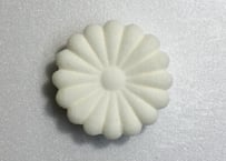 十六菊（アン入りMサイズ）