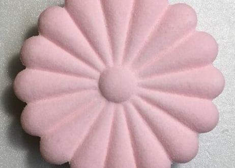 十六菊（アン入りLLサイズ）