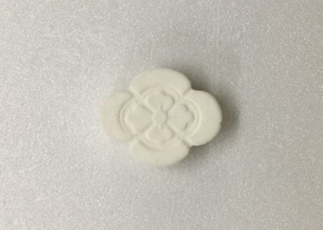 横木瓜（アン入りSSサイズ）