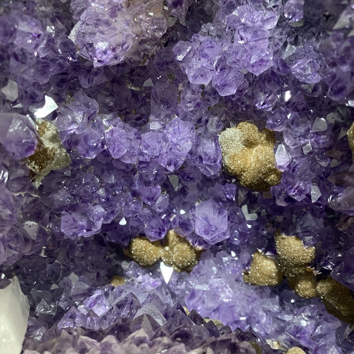 ウルグアイ産アメジストドーム | エベン｜天然石・パワーストーンショップ