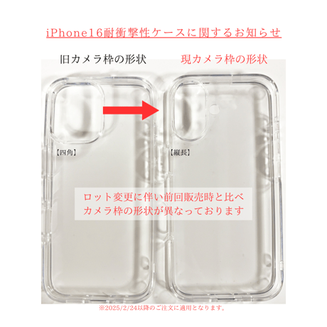 【オプション】耐衝撃性ケース(単品購入不可）