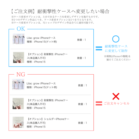 【オプション】耐衝撃性ケース(単品購入不可）