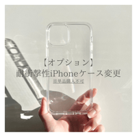 【オプション】耐衝撃性ケース(単品購入不可）