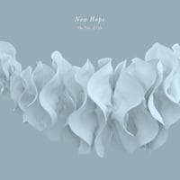 CD「New Hope」 / The Tree Of Life　安ヵ川大樹(b) 、西山瞳(p)、maiko(vln)
