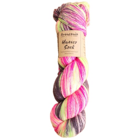 Araucania yarns　Huasco sock　手染め糸　1035番