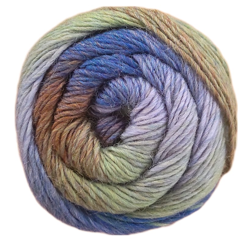 Regia レギア Virtuoso color 6本撚り 150g 03075番 | 編み物