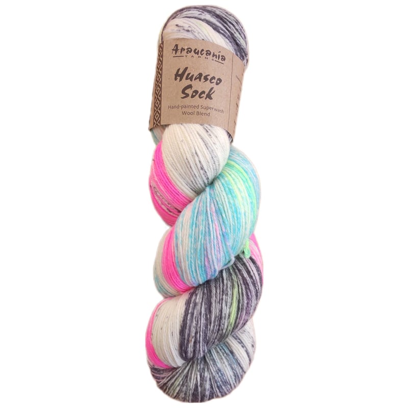 Araucania yarns Huasco sock ソックヤーン　手染め生地/糸