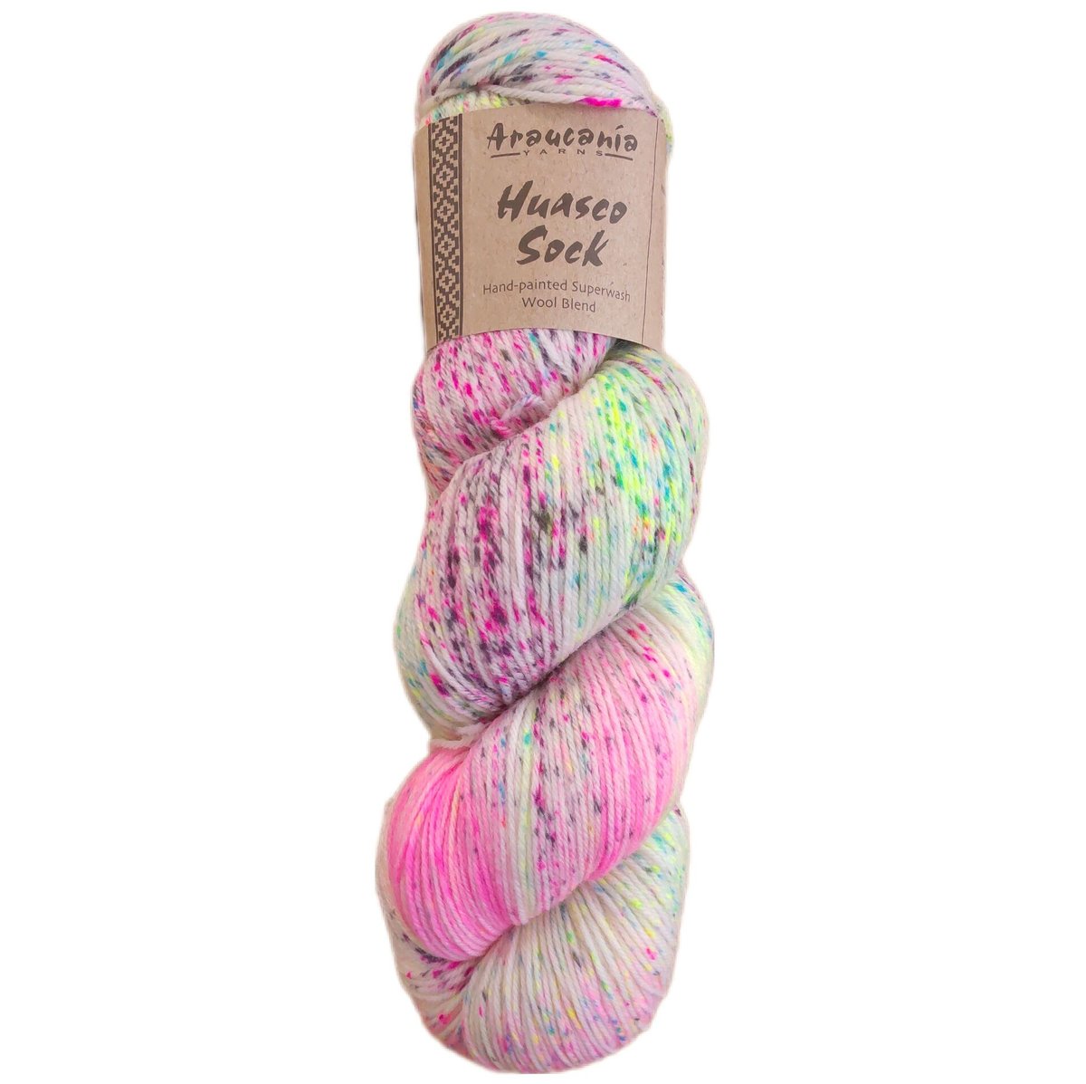 Araucania yarns Huasco sock 手染め糸 1023番 | 編み物大好き...