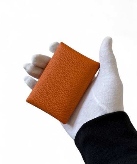 ITTI / HERRIE CARD CASE 40 / DIPLO FJORD