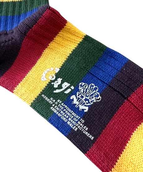 【26SS】 The DUFFER N NEPHEWS / MULTI BORDER SOCKS -PURPLE MULTI-
