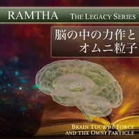 脳の中の力作とオムニ粒子