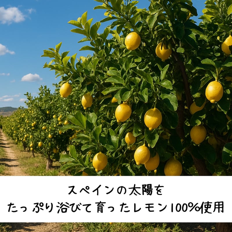 ラビフリュイ スペイン産IQFレモンゼスト 500g | MARKT ~Pour le Pet