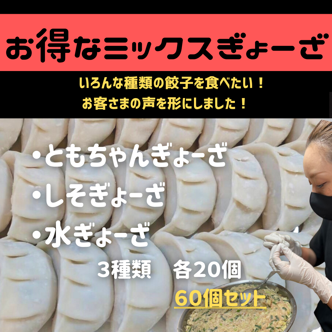 お得なミックスぎょーざ 20個✕3種 60個セット | ともちゃんぎょーざ