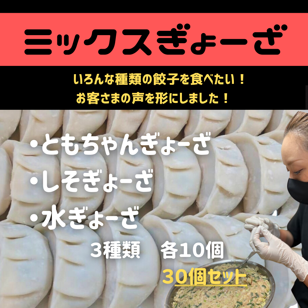 ミックスぎょーざ 10個✕3種 30個セット | ともちゃんぎょーざ