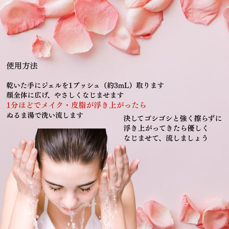 【2本定期】シルククレンザープロ （3ヶ月ごと）