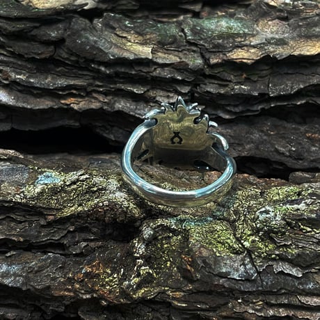 期間限定 Astra Libio アストラリバイオ　R-35 Custom Ring  #17